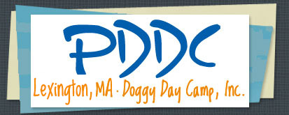 PDDC Doggy Day Camp, Inc.